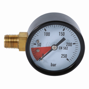 Customized Beer Regulator CO2 Pressure Gauge 40mm 0~250 bar